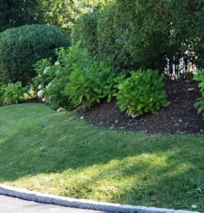 How Much Does Monthly Lawn Maintenance Cost in 2026?