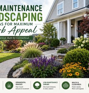 Low-Maintenance Landscaping Ideas for Maximum Curb Appeal